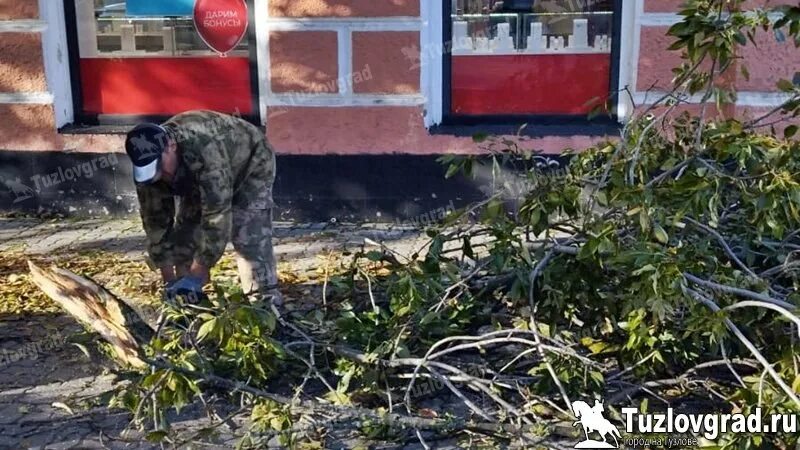 Упало дерево на машину новочеркасск. Почему нет света в новочеркасске сейчас. Почему нет света в новочеркасске сейчас. Почему нет света в новочеркасске сейчас. Почему нет света в новочеркасске сейчас.