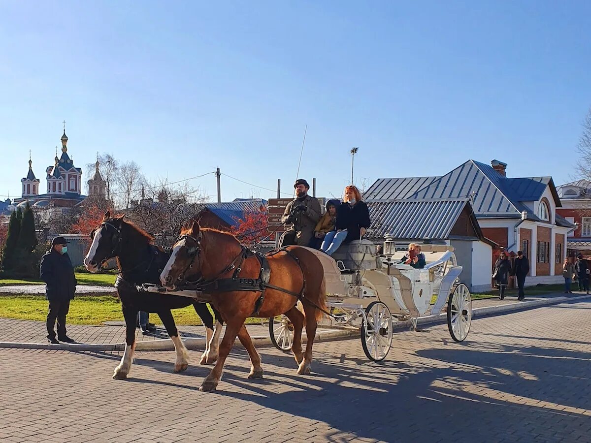 Коломна. Автобусная экскурсия Коломна картинка. Коломне. Улица сосцово Коломна загород.