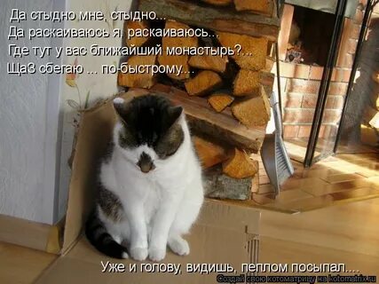 Не хочу стыдиться