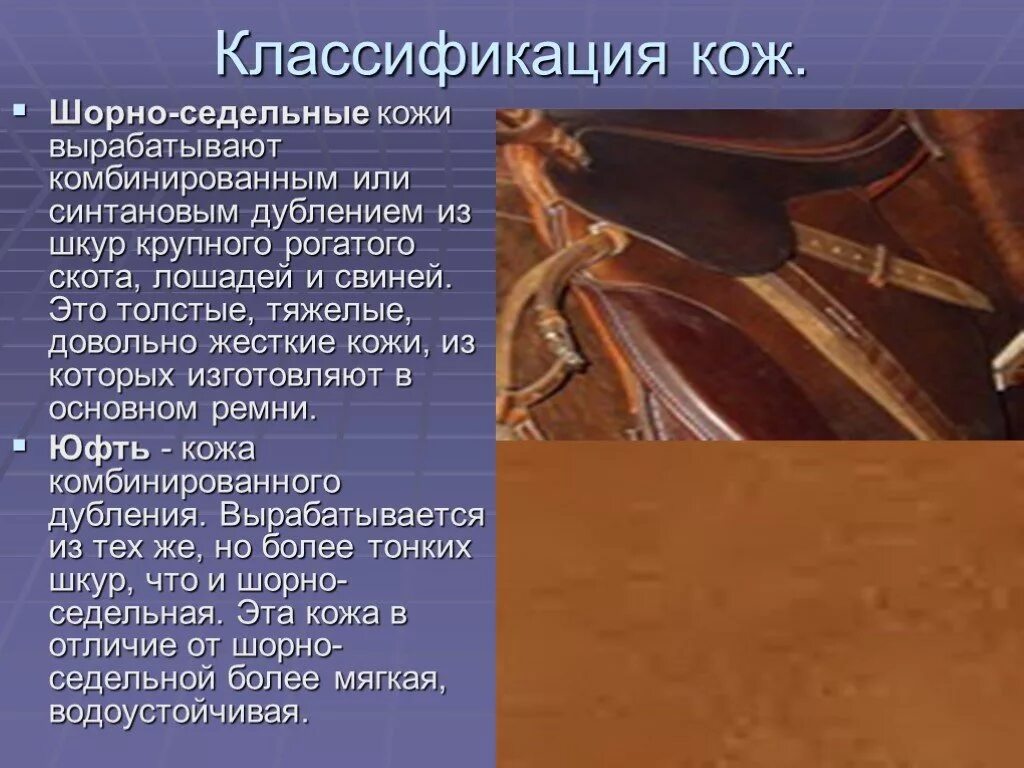 Кожа классификация виды. Классификация шкур крупного рогатого скота.. классификация кожи. классификация натуральной кожи.
