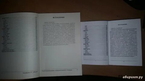 Две жизни содержание