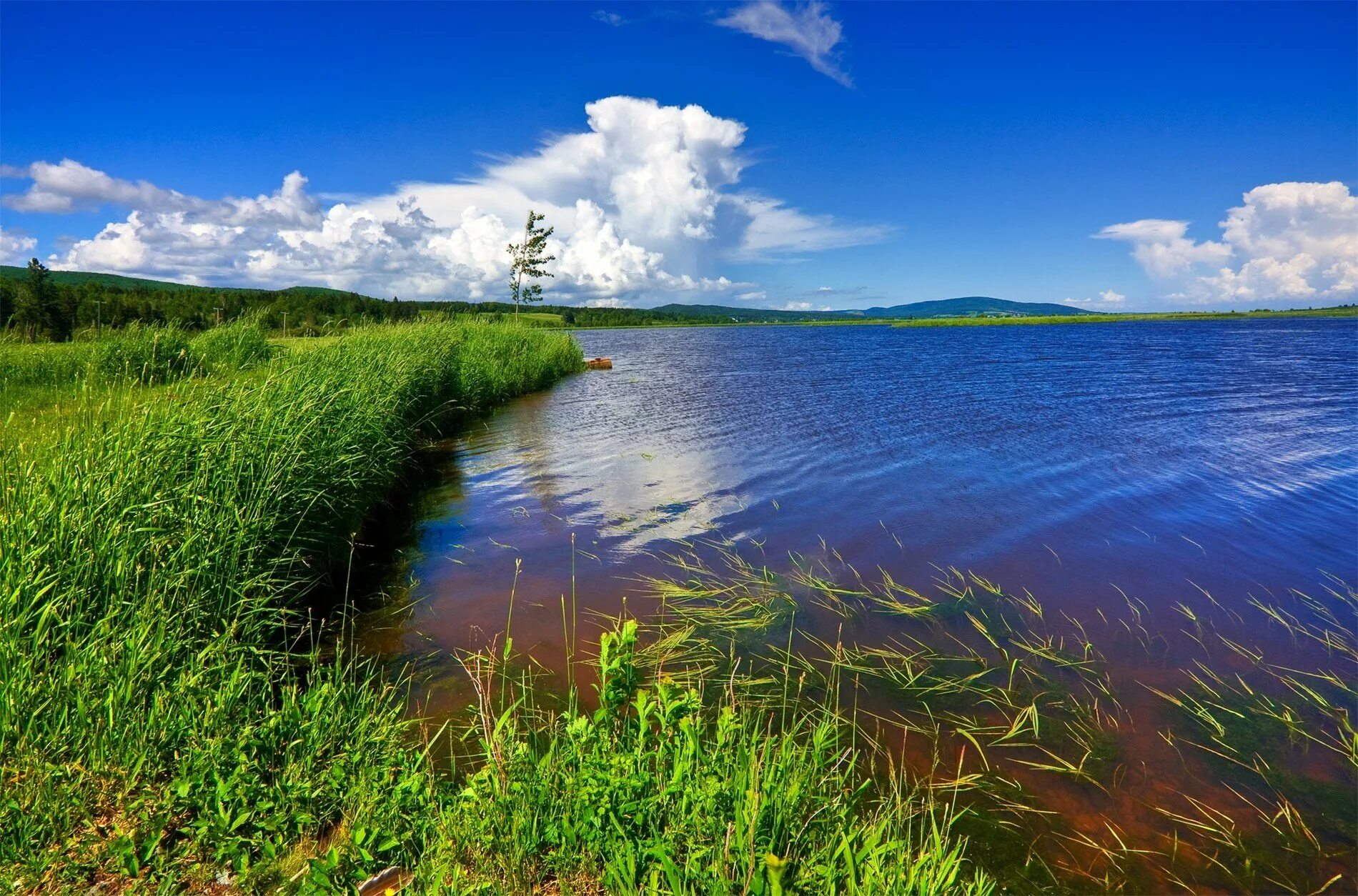 Звуки большой реки. Берег реки. Берег озера. Природа река. Красивый берег реки.