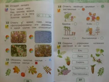 Гармония окружающий мир 2 класс рабочая