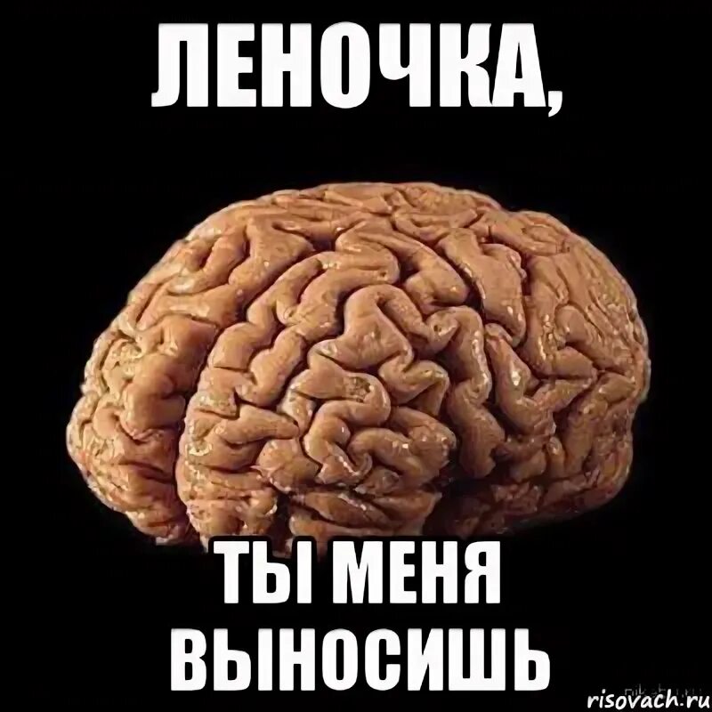 Мозги вынос мозга