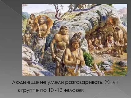 Древний человек вопросы