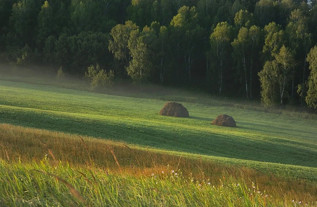 Месяц спрятался. Ночка луговая сенокосная пора. Река тихая приозерский район. Месяц спрятался. Ночка луговая ноты для гармони.