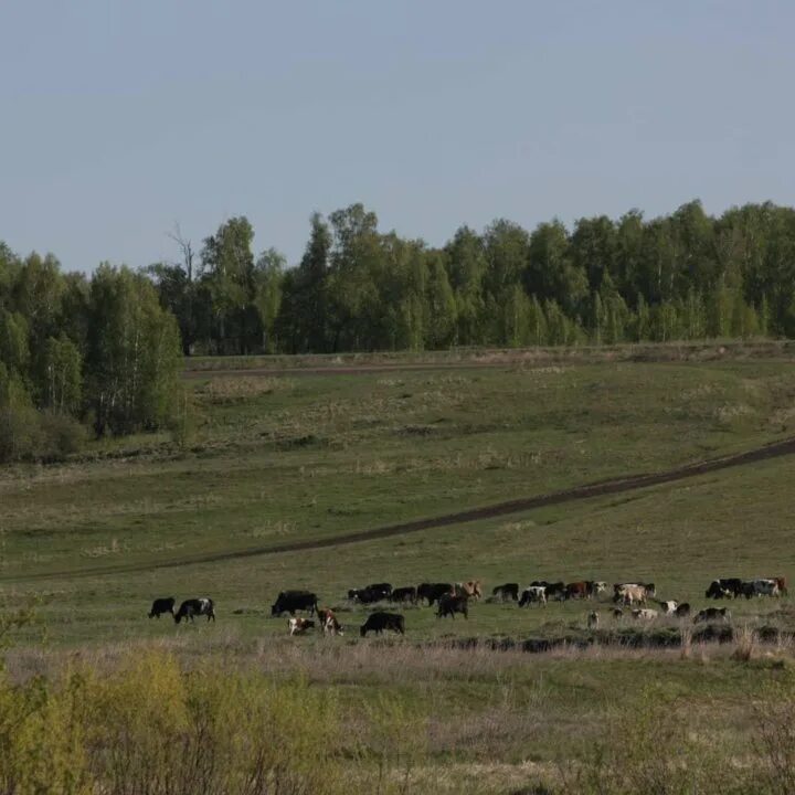 Курган коновалово. Эд4мк 0097. Коновалово курганская область. Вл80р railgallery. Деревня коновалово курганская область.