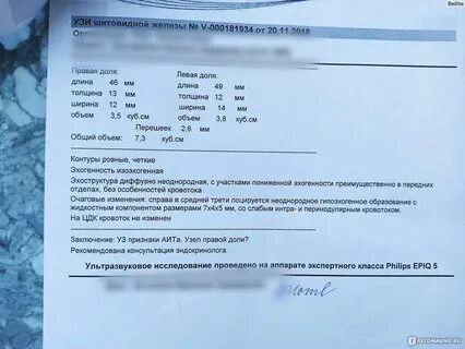 Инвитро узи щитовидной