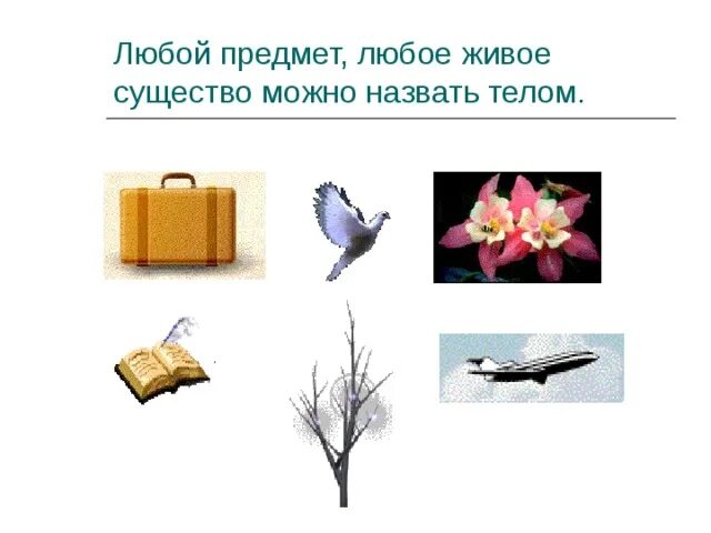 Любое живое