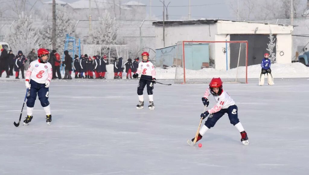 сдюсшор ульяновск хоккей с мячом. хоккей с мячом. стадион енисей красноярск хоккей с мячом. хоккейный матч. краснотурьинск хоккей с мячом первенство россии.