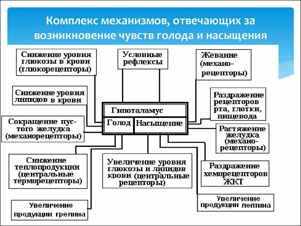 Механизм голода. Схема механизмов голода и насыщения. Системные механизмы голода и насыщения. Физиологические механизмы насыщения.. Физиологические основы формирования чувства голода и насыщения..