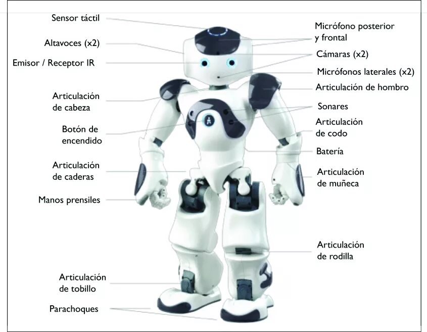 Robot part. Робот нао. элементы робота. сообщение про робота nao. robot parts.