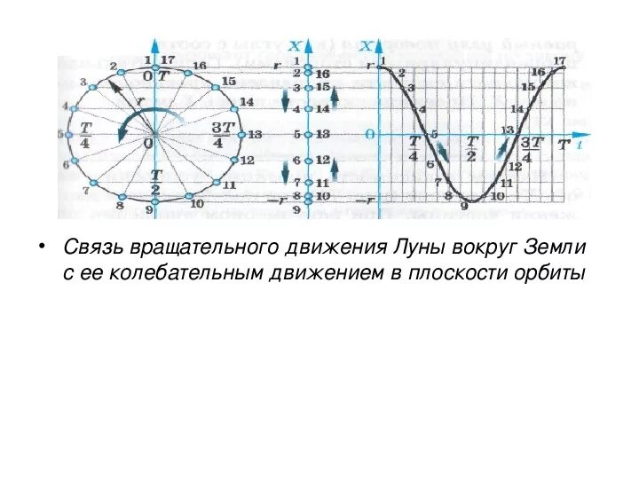 Вращательно колебательные движения. Кинематика колебательного движения. вращательное движение и колебания. связь вращательного и колебательного движения. связь между колебательным и вращательным движениями.