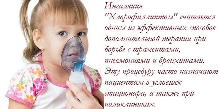 Хлорофиллипт для небулайзера. Ингаляции с хлорофиллиптом в небулайзере. ингаляции с маслом хлорофиллиптом в небулайзере детям. ингаляции с хлорофиллиптом в небулайзере взрослым. хлорофиллипт в небулайзер для ингаляции.