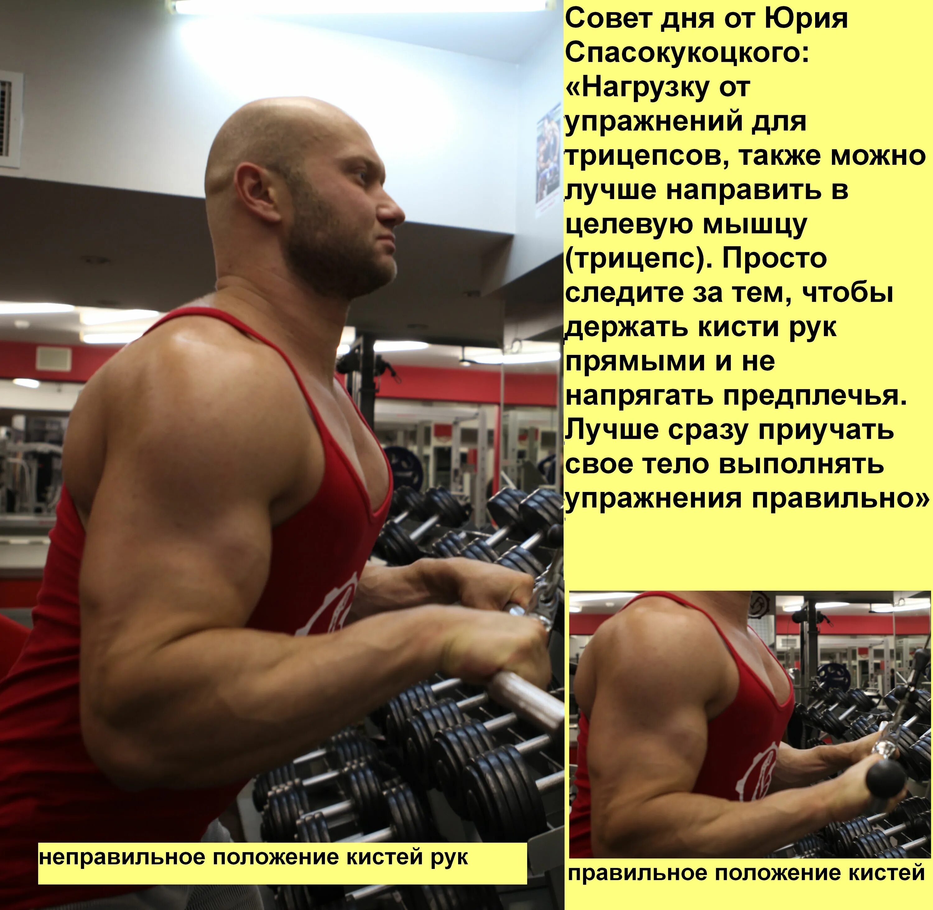 Спасокукоцкий программа тренировок. Спасокукоцкий. юрия спасокукоцкого. программа тренировок юрия спасокукоцкого. бицепс юрия спасокукоцкого.