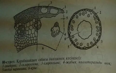 Толық метражды порно фильмдер онлайн