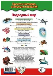 Животный мир морей и океанов подготовительная группа