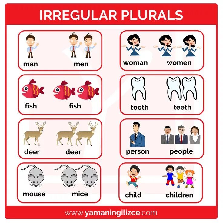 Английское слово man. Исключения множественного числа в английском языке. Множественное число в английском языке Worksheets. Множественное число англ исключения. Irregular plurals в английском языке.