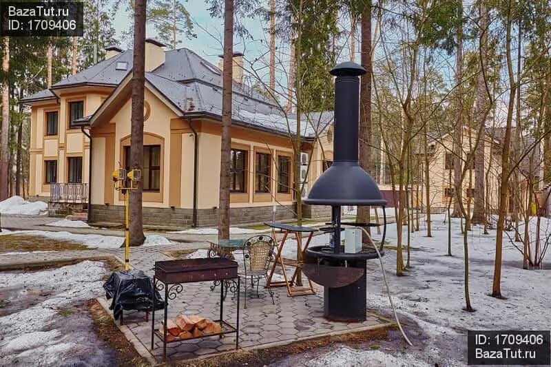Купить дом площадью 700 кв.м. в поселке Сосновый Бор ID30917