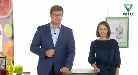 Тв передачи пермь