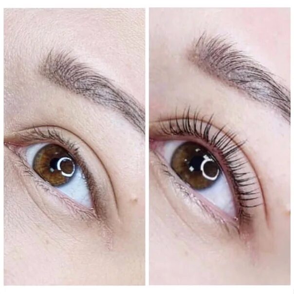 Через сколько можно красить ресницам после. Ресницы после наращивания. Накрашенные ламинированные ресницы. Наращивание ресниц до и после. Ламинированные ресницы накрашенные тушью.