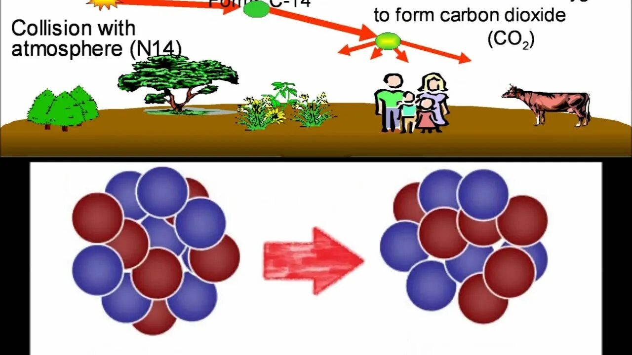 Углерод 14 реакция. Carbon 14. Carbon dioxide Level. Carbon dating. Carbon-11 Decay.