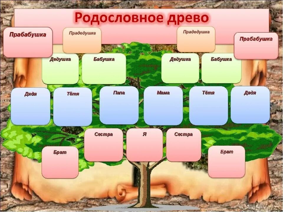 Генеалогическое дерево семьи является сетевой информационной моделью. Родословное дерево семьи. родословная моей семьи. составление родословного дерева. генеалогическое древо своей семьи.