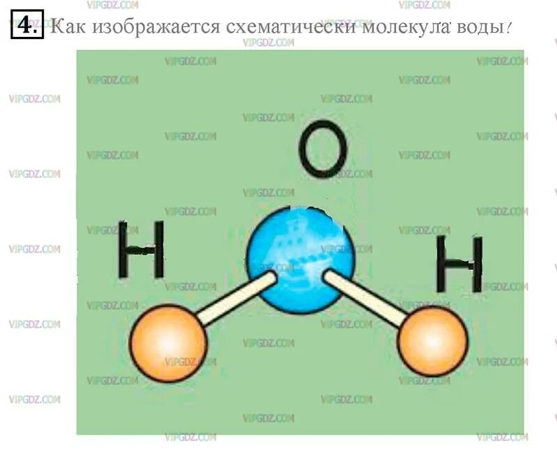 Выберите функцию которую может выполнять изображенная молекула