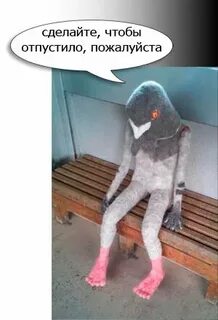 Михаила меня отпустили