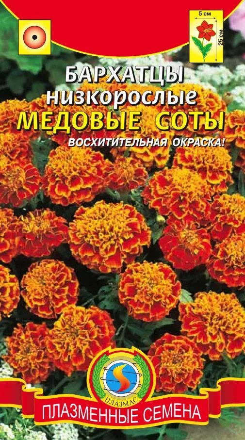 Бархатцы сорта и названиями фото Molot-Club.ru