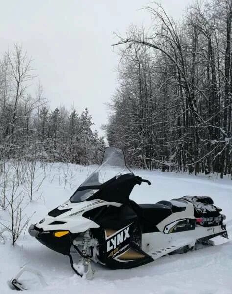 Brp ranger 49 600 e-tec. Brp lynx 49 ranger 600 e-tec. 49 600. 49 600. Линкс рейнджер 49.