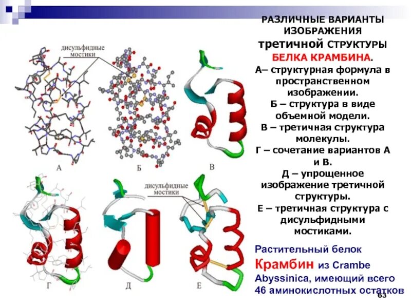 Образование дисульфидных связей в белке. Структура белка химия формула. Третичная структура пептидов и белков. Третичная структура белка дисульфидные мостики. Дисульфидные мостики в белках структура.