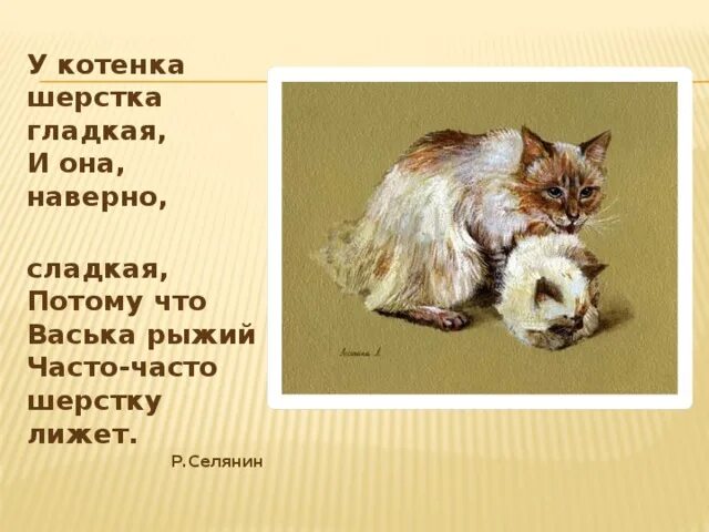 Шерстка или шорстка как правильно. Духи шерстка котенка. презентация «мордочка, хвост и четыре лапы». шерстка кота согласование. шёрстка или шерстка.