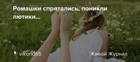 Караоке ромашки спрятались поникли