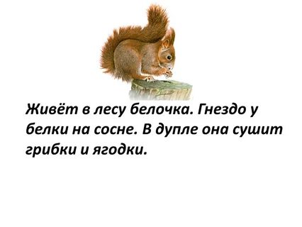 Обитать слово