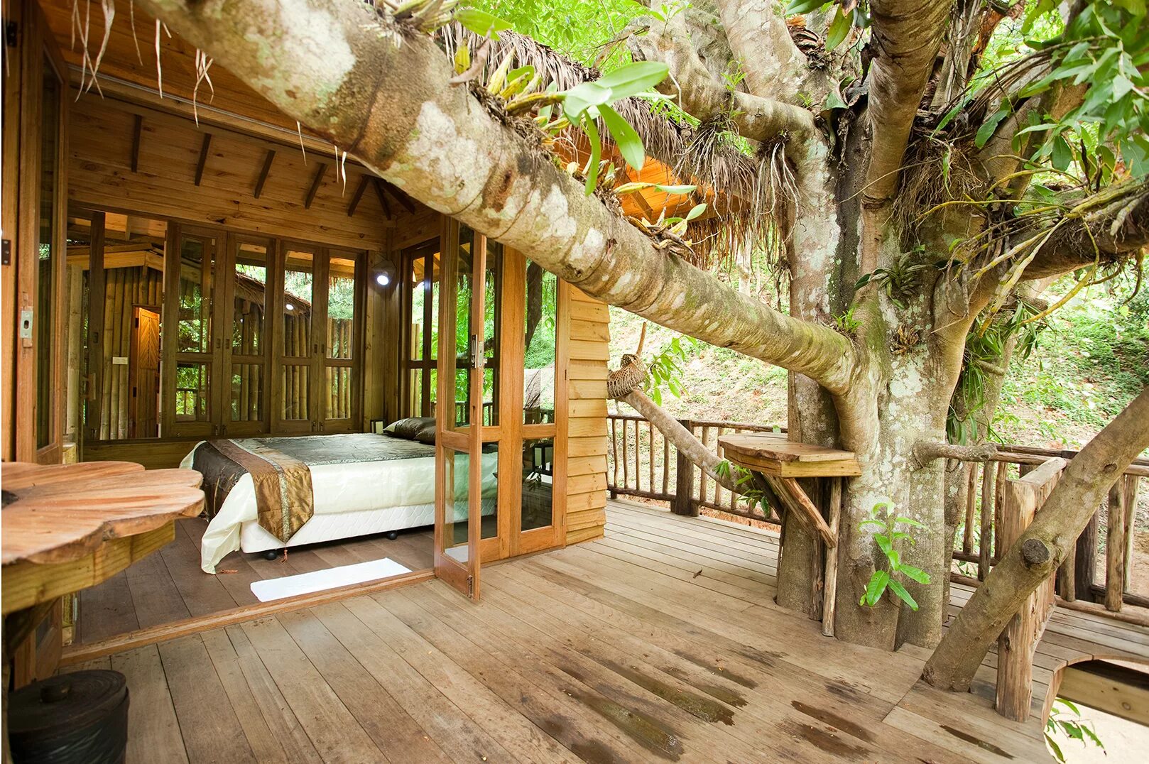 Джунгли внутри тебя. Деревья на Бали. Домик на дереве. Интерьер домика на дереве. Домик в тропиках.