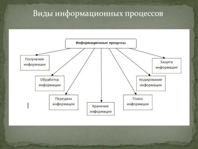 Виды информации процессов. Понятие и виды информационных процессов. Основные виды информационных процессов. Виды информационныхпрлцессов. Видыинформпционных процессов.