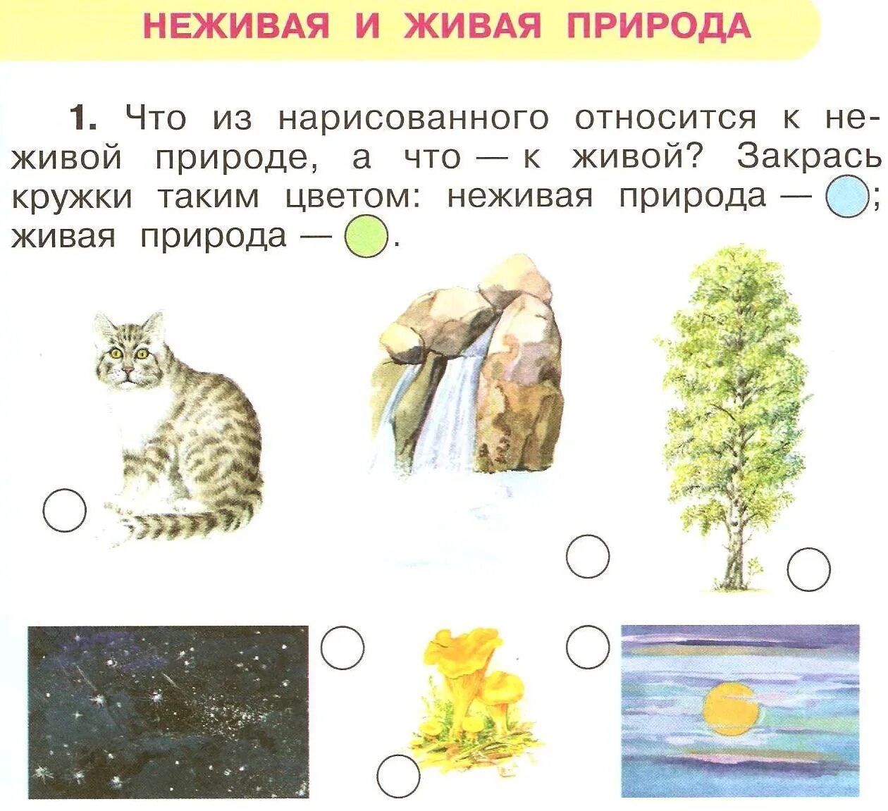 Что относится к рисункам. Живая природа задания. Живая и неживая природа задания. Живая и неживая природа задания для дошкольников. Неживая природа задания для дошкольников.