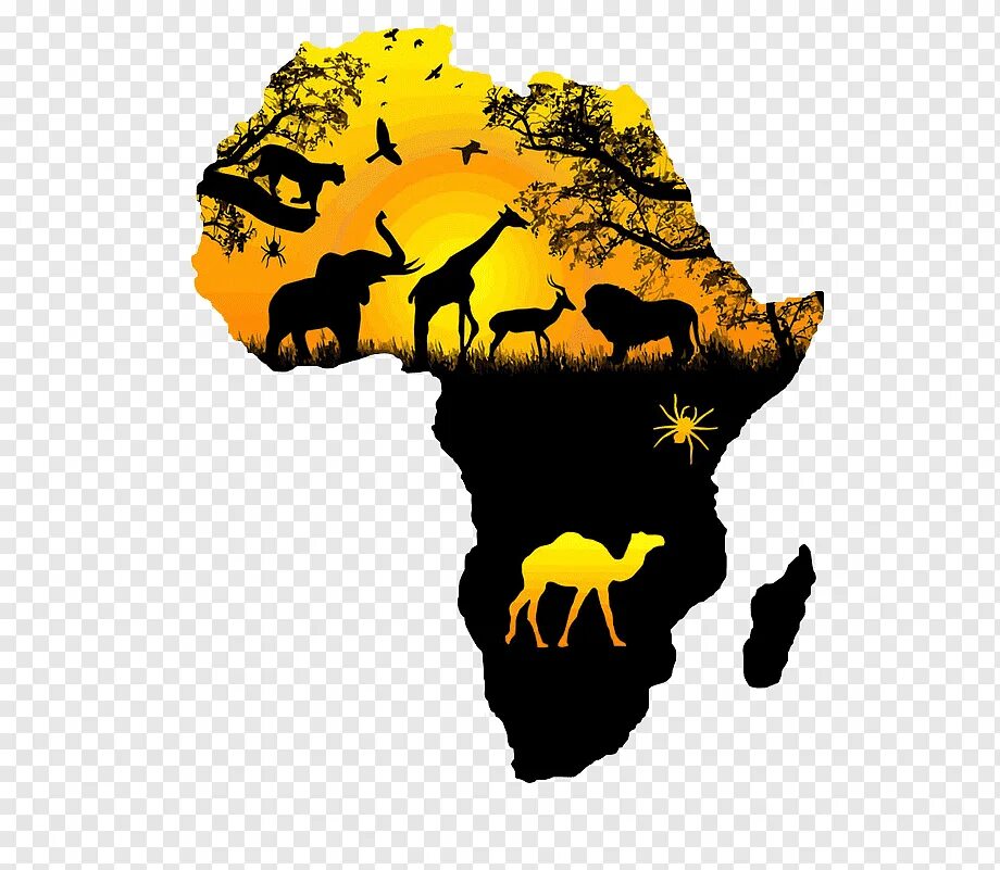 Африки животный география. Африка материк. Материк Африка на карте. Очертания Африки. Африка на белом фоне.