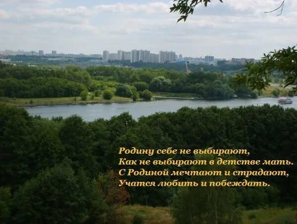 еду я на родину пусть кричат. езжай на родину. елка карикатура. еду я на родину как ты хороша. скучаю по родине.