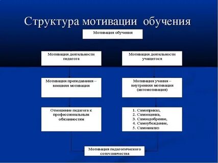 Перечислите мотивы учебной деятельности