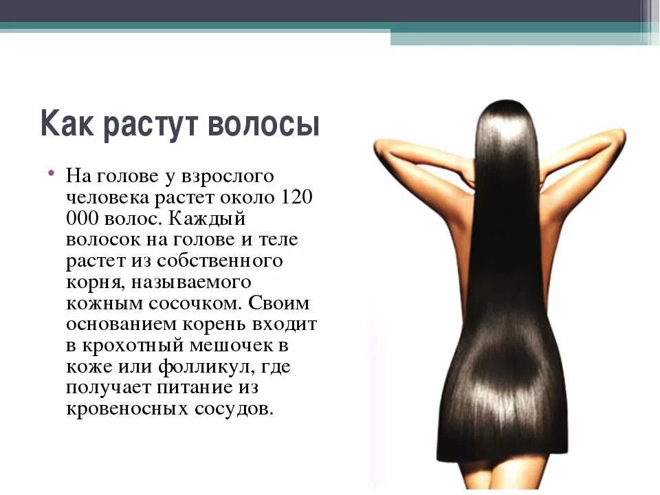 Как растут волосы. Как растут волосы на голове. Как быстро растут волосы. Как сделать чтобы выросли волосы.