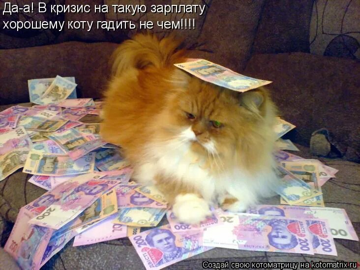 На деньги хотим играть. Денежный кот. Кот с деньгами. Пусть деньги сбившись в птичью стаю. Желаю денег.