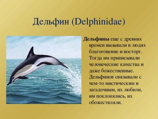 Легенда поведала о дельфине как понять выражение. Легенды о дельфинах для детей. легенда про дельфина. дельфины в мифах. легенда о животных.