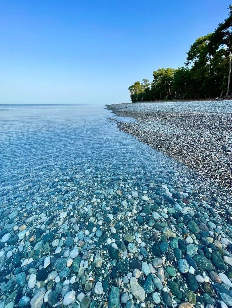 Черное море абхазия пицунда. Чистая вода пицунда абхазия. Сухум пляж пицунда. Прозрачное море пицунда абхазия. Вода моря в пицунде.