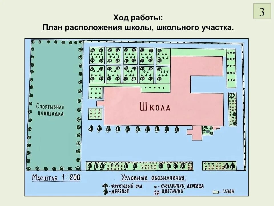 Карта 31 школы. План схема пришкольного участка. План расположения школы. План местности школы. План школьного двора.