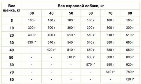 Сколько в день должен щенок писать
