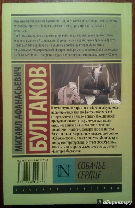 Булгаков Собачье сердце аннотация. Аннотация к книге Собачье сердце. Произведение собачье сердце краткое содержание