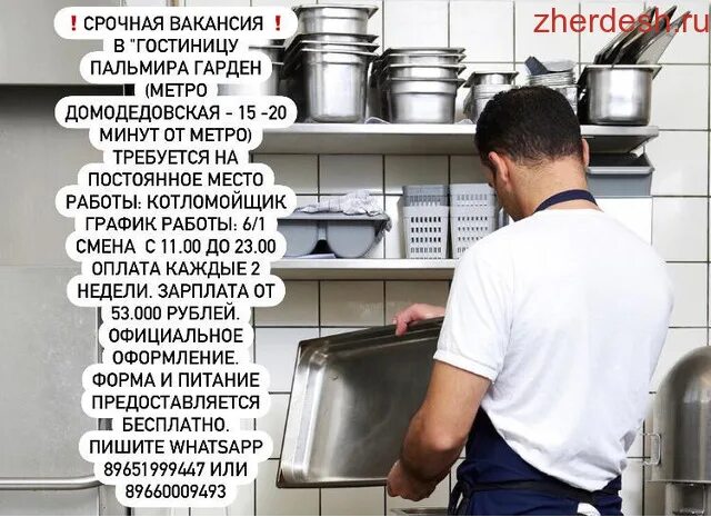 Работа подработка домодедово