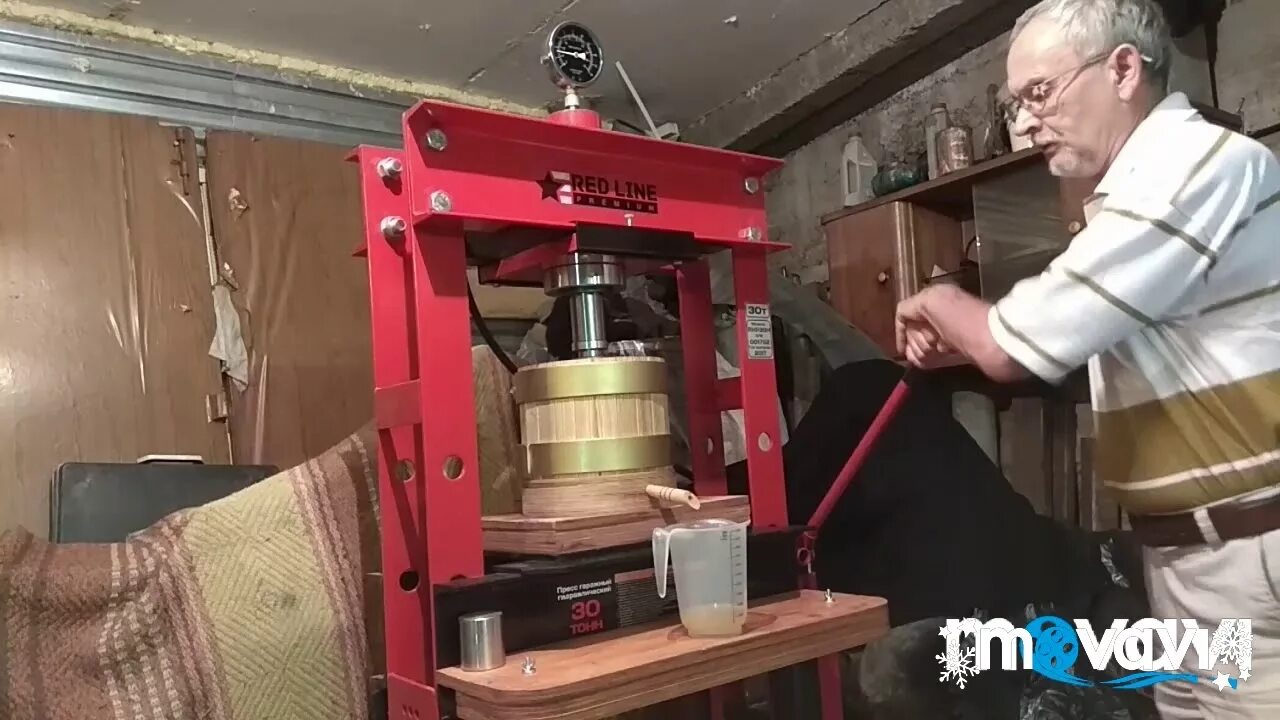 Отжим масла подсолнечника. Отжим подсолнечного масла. отжим подсолнечника. отжим масла из подсолнечника. отжим подсолнечника в заводе.
